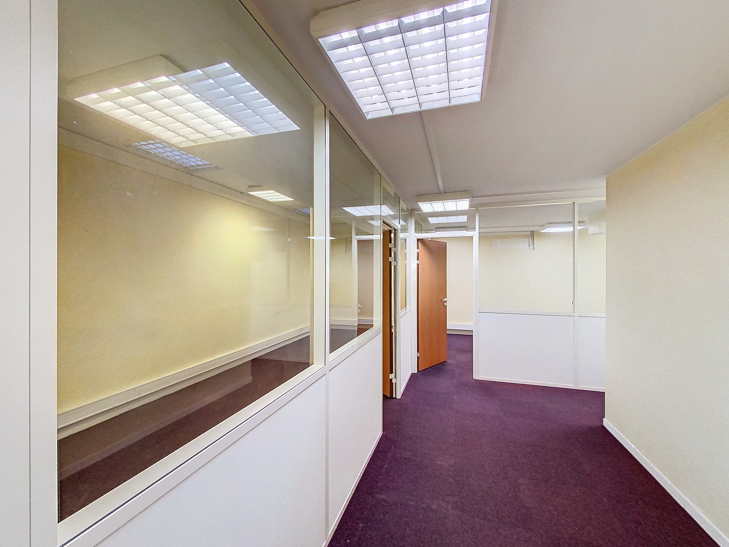 Local professionnel Nice Promenade