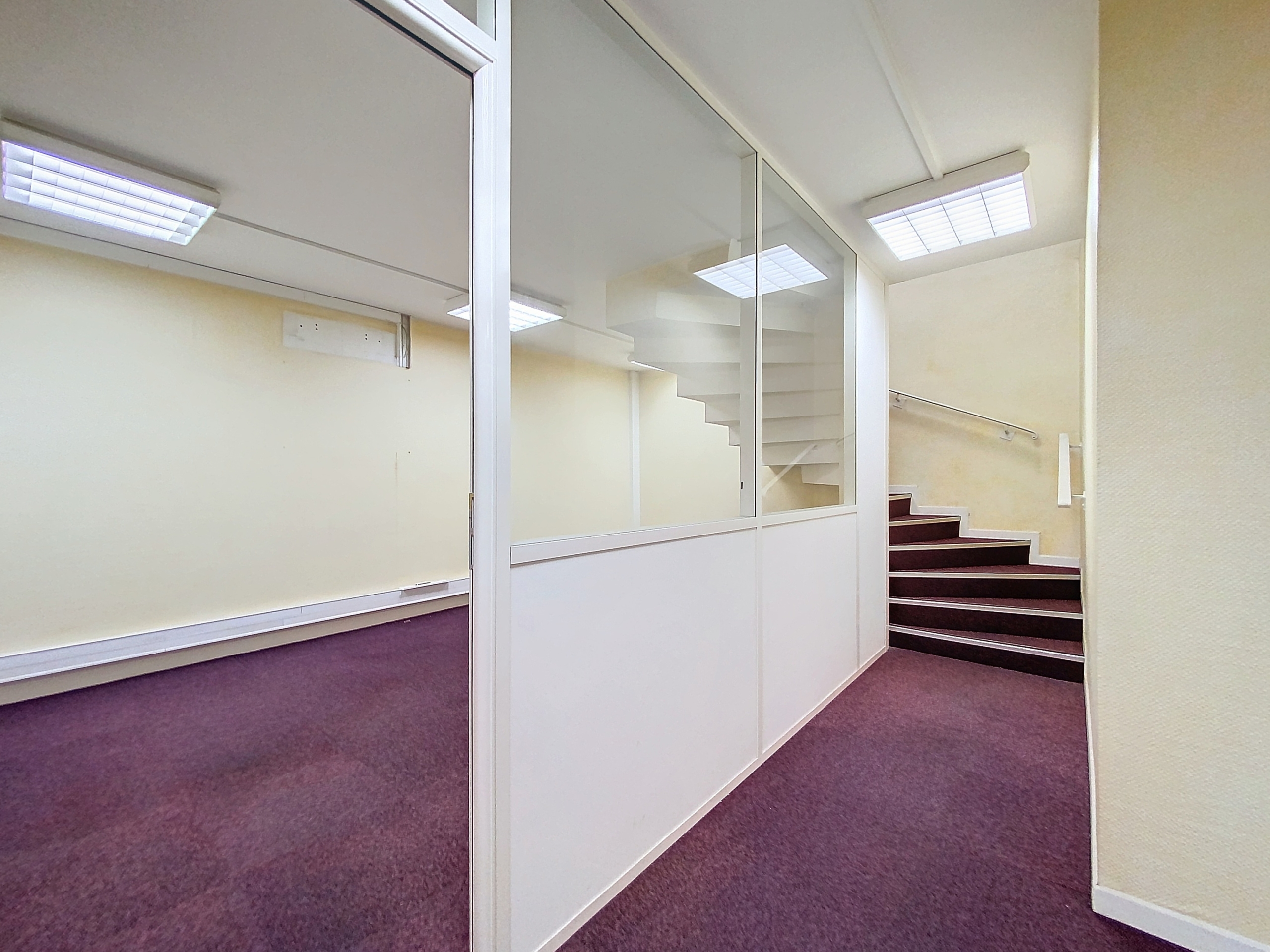 Local professionnel Nice Promenade