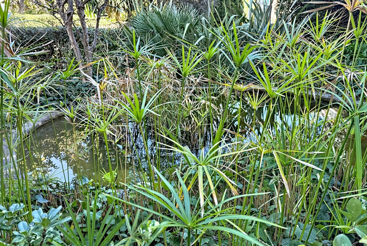 Appartement 3p Nice Baumettes