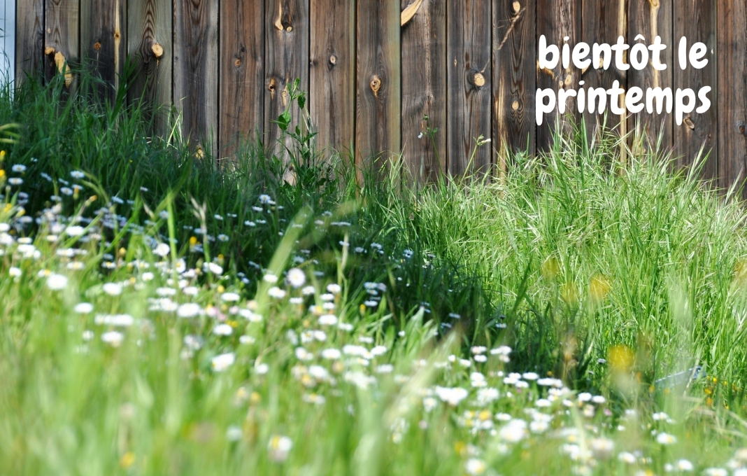 C'est bientôt le printemps à Nice