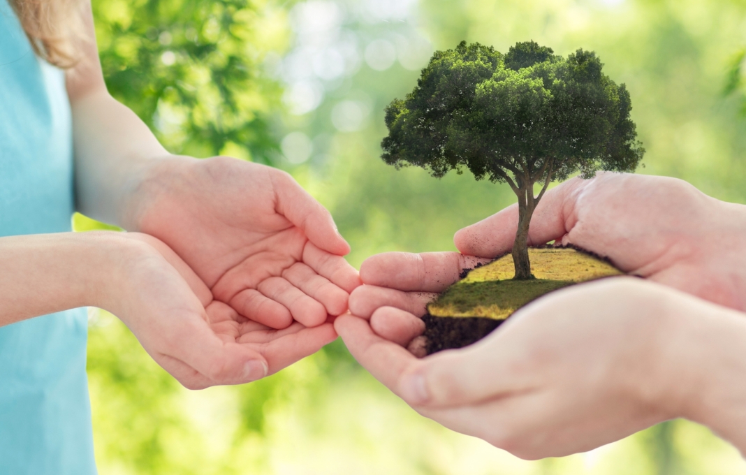 Succession Patrimoine immobilier succession