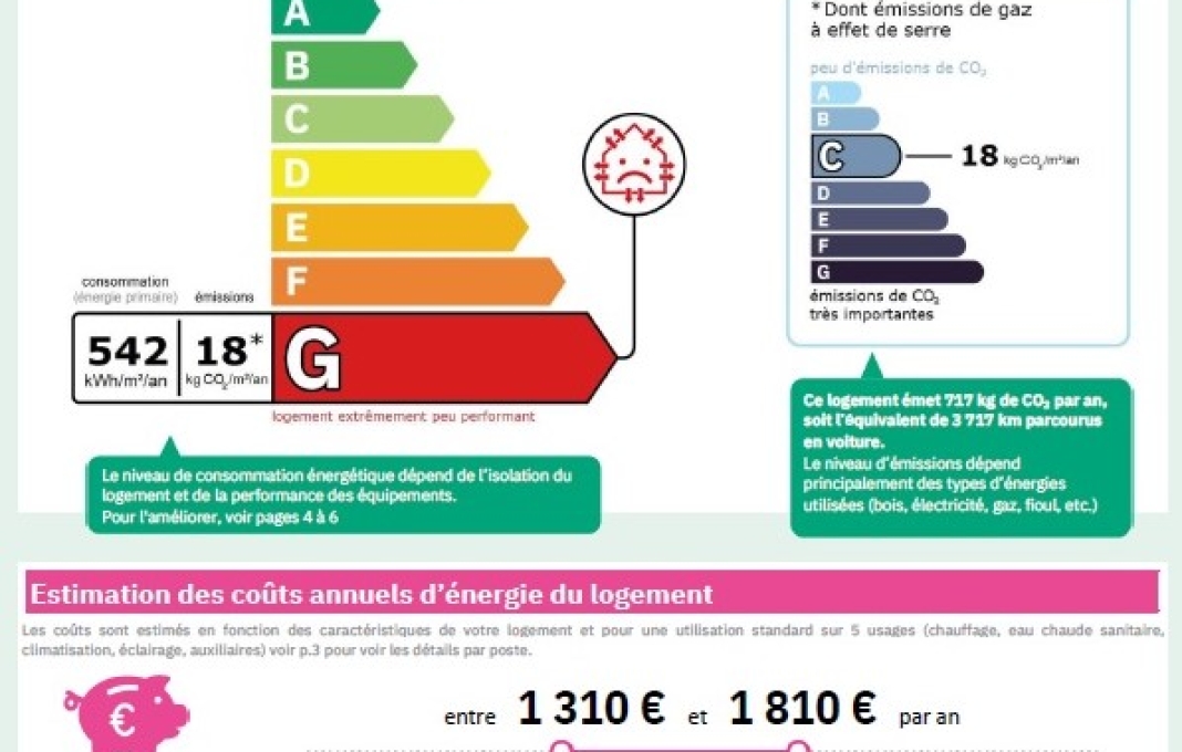 N'oubliez pas le DPE dans vos annonces !