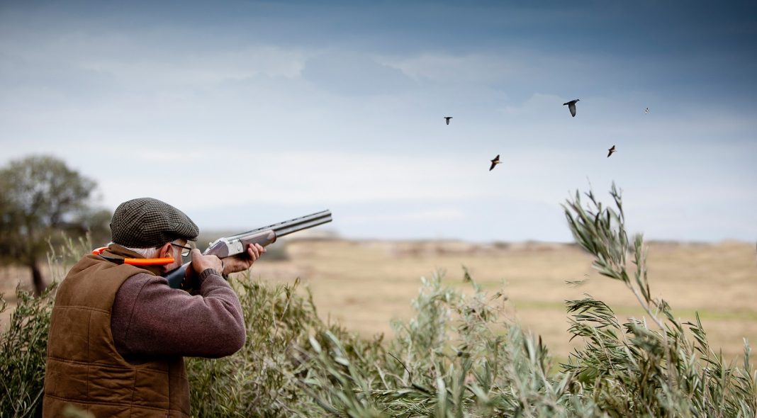 L’agent immobilier n’est pas un chasseur de pigeons