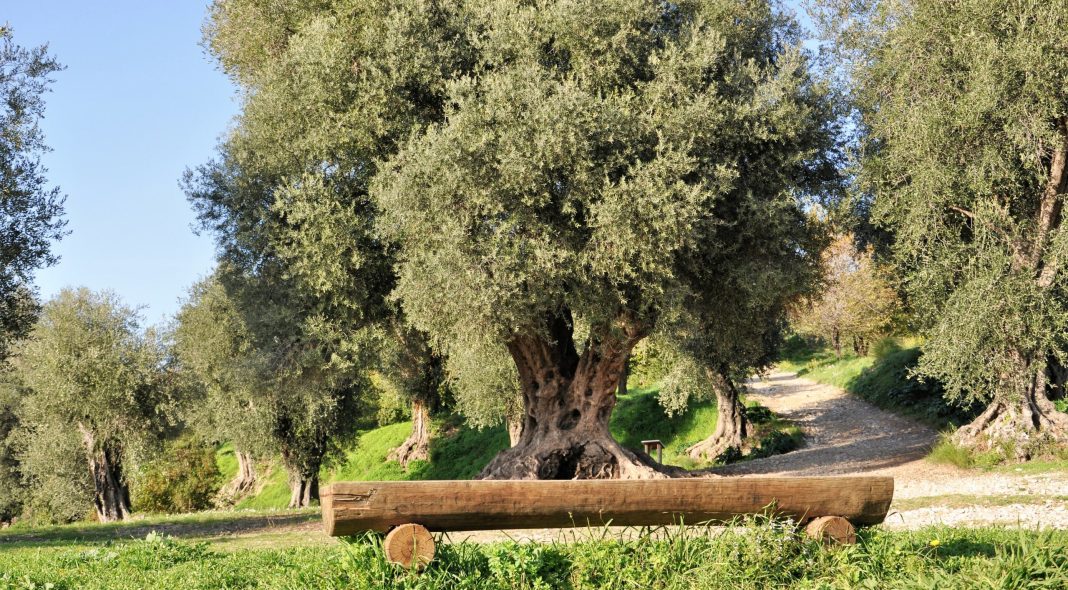 Le parc naturel Estienne d'Orves