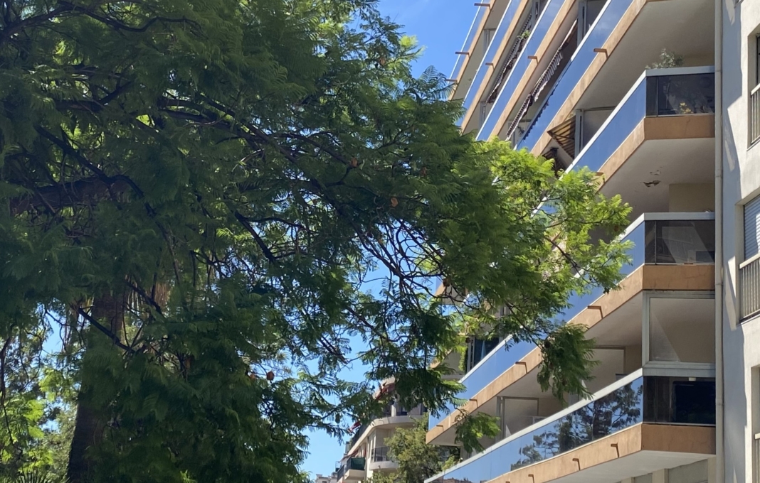 Le Petit Trianon à Nice