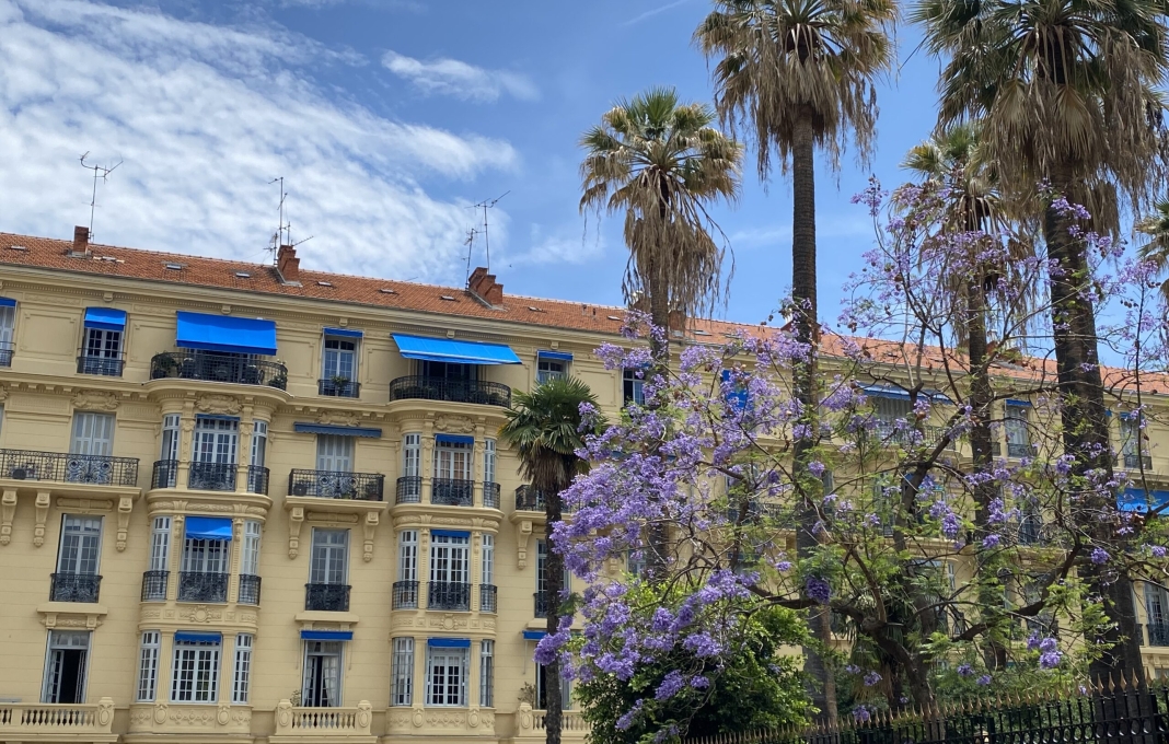 Le Palais du Square à Nice