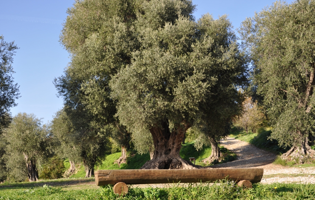 Parc naturel Estienne d'Orves